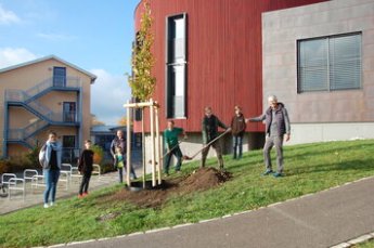 Ein Baum und viele Hoffnungen für die Zukunft