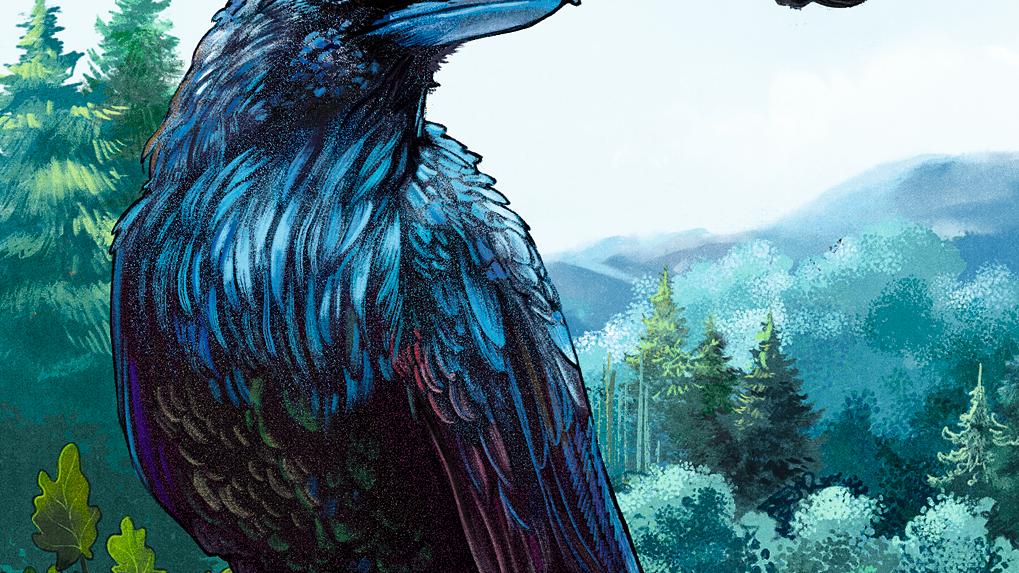 Walder Revier der Raben